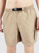 Nike Swim 5" Volley Boardshorts brun