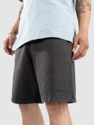 Element Cornell 3.0 Shorts sort