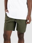 Volcom Hoxstop Ew 18 Shorts grøn