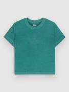 Quiksilver Essential T-shirt grøn