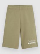 O'Neill The Future Surf Society Shorts grøn