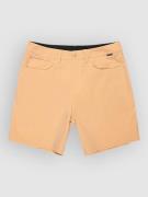Quiksilver Nelson Amphibian 18 Boardshorts brun