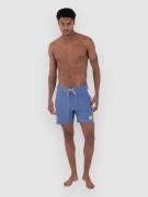 Hurley Phntm Naturals Blocked Sessions 16 Boardshor mønster