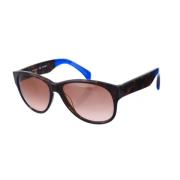 Oval Acetate Solbriller Havana-Blå