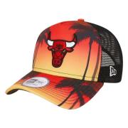 Trucker Chicago Bulls Kasket