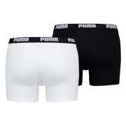 Basic 2Pack Briefs pakke