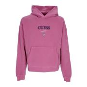 Distressed Logo Hoodie Langærmet Sweatshirt