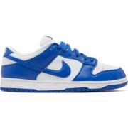 Retro SP Kentucky Sneakers