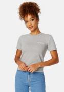 Juicy Couture Recycled Haylee T-Shirt SIlver Marl XXS