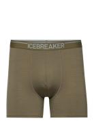 M Anatomica Boxers Boxershorts Green Icebreaker