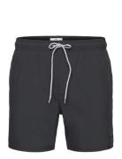 Daily Volley Badeshorts Black Rip Curl