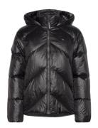 Chevron Lw Down Jacket Foret Jakke Black Tommy Hilfiger