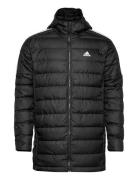 Essentials Down Parka Foret Jakke Black Adidas Sportswear