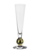 Nobel Champagne 18 Cl Home Tableware Glass Champagne Glass Nude Orrefo...