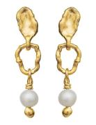 Seraphine Earring Ørestickere Smykker Gold Maanesten