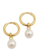 Treasure Pearl Hoops Gold Ørestickere Smykker Gold Syster P