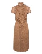 Liljasz Crinkle Ss Dress Knælang Kjole Brown Saint Tropez