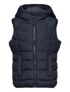 Light Weight Puffer Vest Foret Vest Navy Tom Tailor