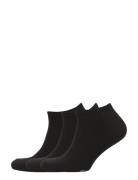 Big Pony Sock 3-Pack Ankelstrømper Korte Strømper Black Polo Ralph Lau...