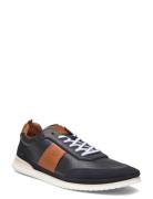 Dan Low-top Sneakers Navy Playboy Footwear