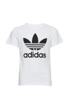 Trefoil Tee Tops T-Kortærmet Skjorte White Adidas Originals