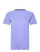 Odlo Essential Seamless T-Shirt Crew Neck S/S Sport T-shirts & Tops Sh...