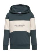 Jorlakewood Block Sweat Hood Bf Jnr Tops Sweatshirts & Hoodies Hoodies...