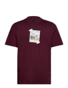 M All Day I Tee Sport T-Kortærmet Skjorte Burgundy Adidas Sportswear