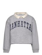 Cropped Polo Sweat Tops Sweatshirts & Hoodies Sweatshirts Grey Tom Tai...