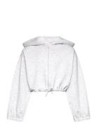 Cropped Hoody Jacket Tops Sweatshirts & Hoodies Hoodies Grey Tom Tailo...