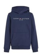 Essential Hoodie Tops Sweatshirts & Hoodies Hoodies Navy Tommy Hilfige...