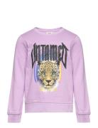 Kmglucinda Reg L/S Untamed Box Swt Tops Sweatshirts & Hoodies Sweatshi...