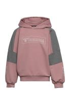 Hmlboxline Hoodie Sport Sweatshirts & Hoodies Hoodies Pink Hummel