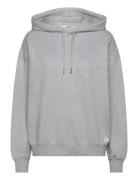 Studio Over D Hoodie Tops Sweatshirts & Hoodies Hoodies Grey Björn Bor...