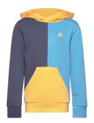 Essentials Colorblock Hoodie Kids Sport Sweatshirts & Hoodies Hoodies ...