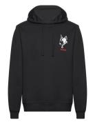 Dammico Designers Sweatshirts & Hoodies Hoodies Black HUGO