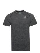 Odlo Essential Seamless T-Shirt Crew Neck S/S Sport T-Kortærmet Skjort...