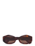 Celeste Solbriller Brown Corlin Eyewear