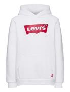 Levi's® Screenprint Batwing Pullover Hoodie Tops Sweatshirts & Hoodies...