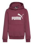 Ess Logo Hoodie Fl G Sport Sweatshirts & Hoodies Hoodies Burgundy PUMA