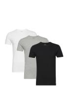 Bci Cotton-3Pk-Ucr Tops T-Kortærmet Skjorte Black Polo Ralph Lauren Un...