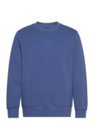 Reg Tonal Shield C-Neck Sweat Tops Sweatshirts & Hoodies Sweatshirts B...