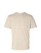 Slhaspen Mini Str Ss O-Neck Tee Noos Tops T-Kortærmet Skjorte Cream Se...