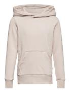 Jjebradley Sweat Hood Noos Jnr Tops Sweatshirts & Hoodies Hoodies Crea...