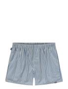 Blue Striped Underwear Boxer Shorts Blue Pockies