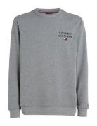 Track Top Hwk Tops Sweatshirts & Hoodies Sweatshirts Grey Tommy Hilfig...