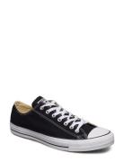 All Star Ox Black Low-top Sneakers Black Converse