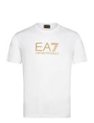 T-Shirt Tops T-Kortærmet Skjorte White EA7