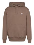 Summerdal Tops Sweatshirts & Hoodies Hoodies Brown Dickies