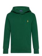 Fleece Hoodie Tops Sweatshirts & Hoodies Hoodies Green Ralph Lauren Ki...